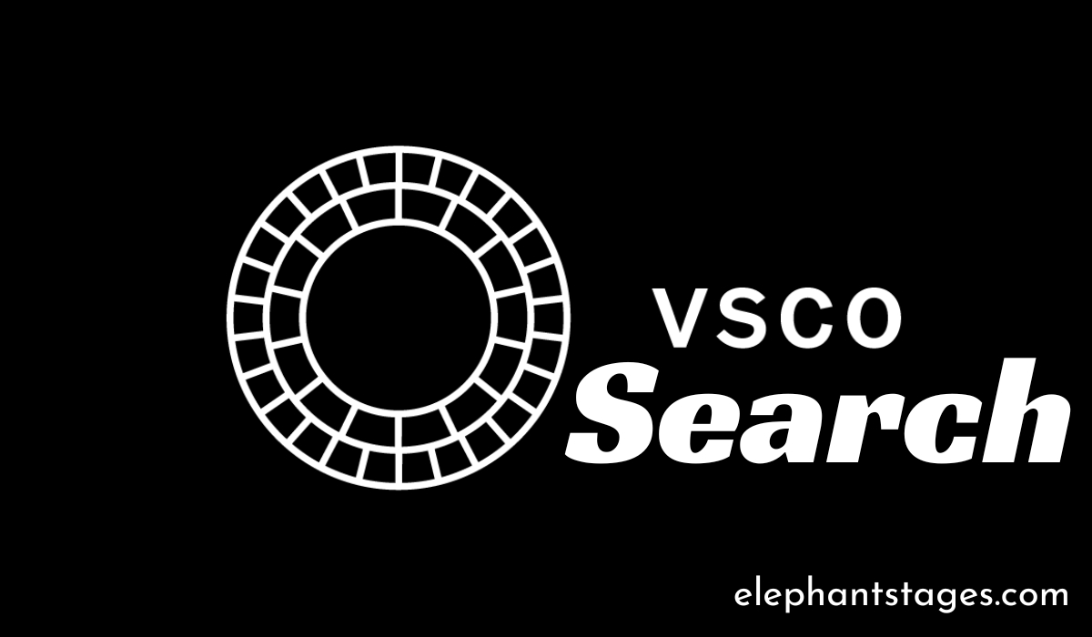 VSCO search