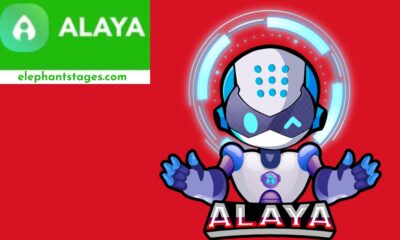 alaya ai