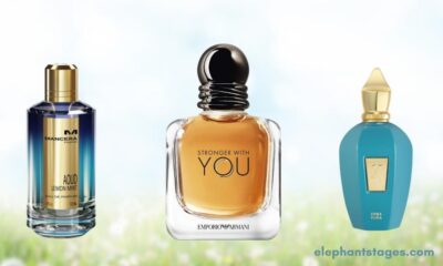 Men's Fragrance Selection