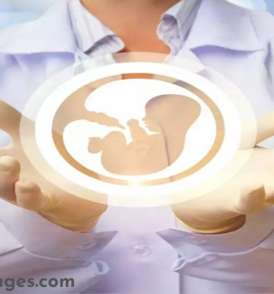 Right Fertility Clinic