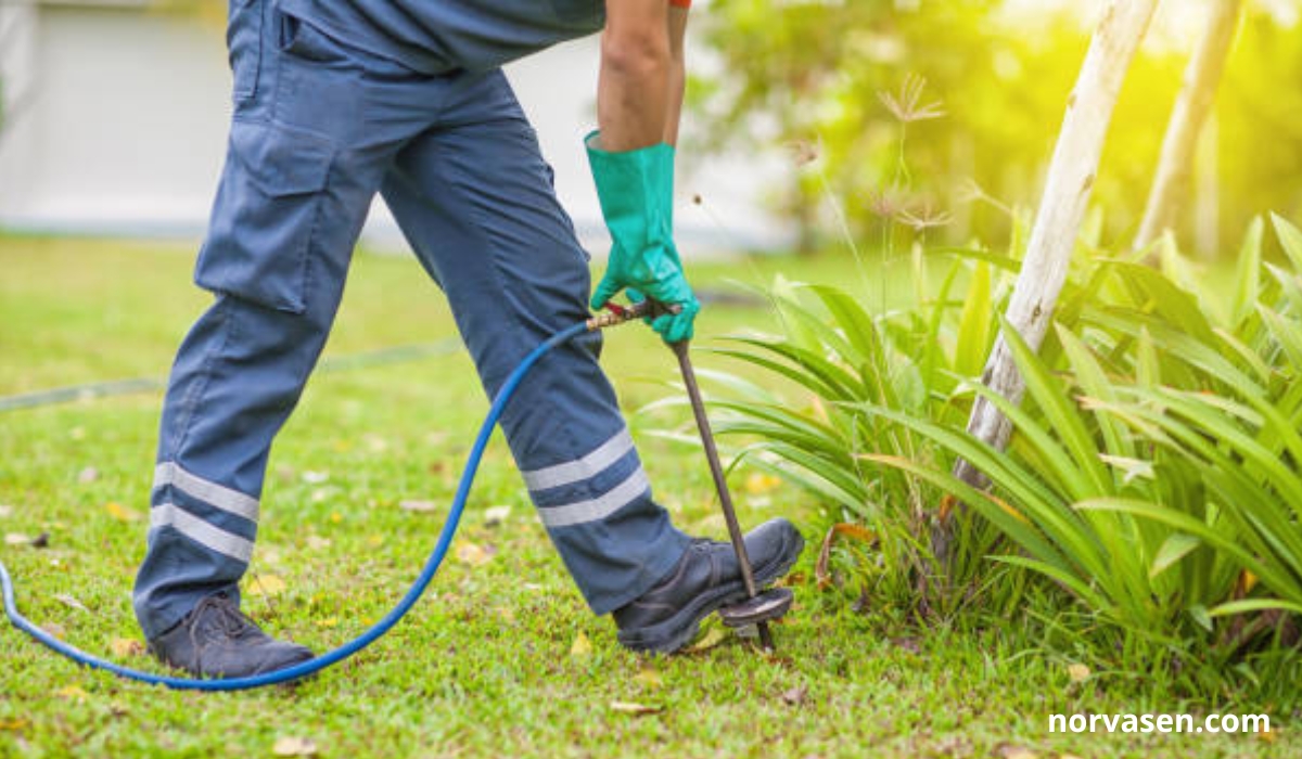 Termite Control