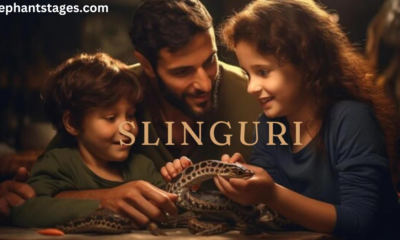 Slinguri - The Backbone of Rigging Systems