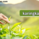 Discover Karingkarla: A Hidden Gem of History, Culture, and Adventure