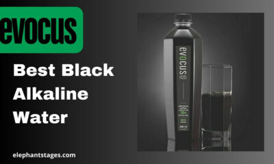 Best Black Alkaline Water