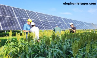 Solar Power in Texas