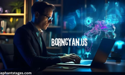 borncyan.us