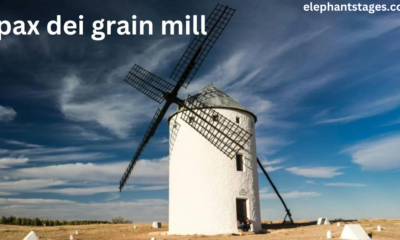 pax dei grain mill