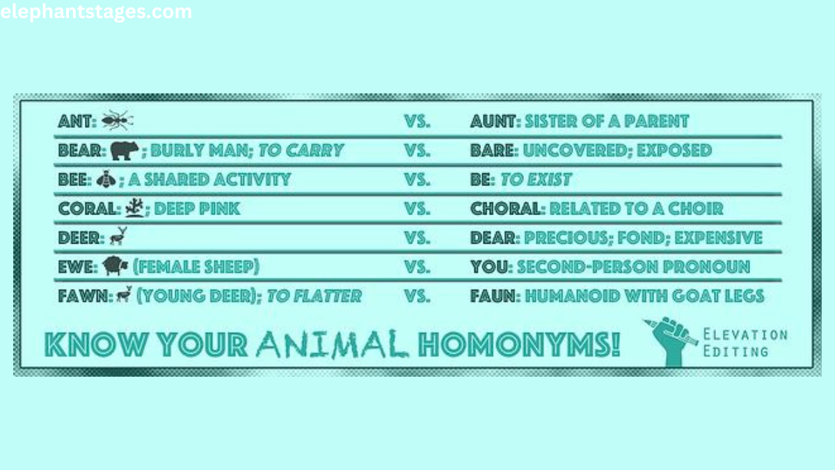 new animal homophone