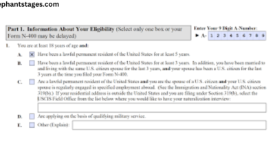 sample n-400 filled form questions child support