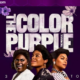 the color purple 2023 torrent