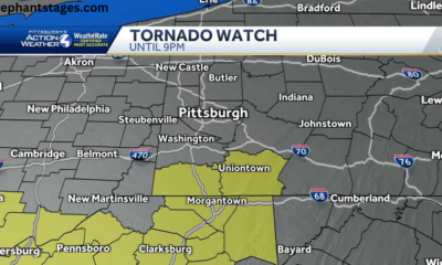 tornado watch issued for western pennsylvania counties.