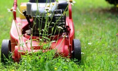 Tips for Maintaining a Beautiful Lawn