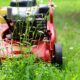 Tips for Maintaining a Beautiful Lawn