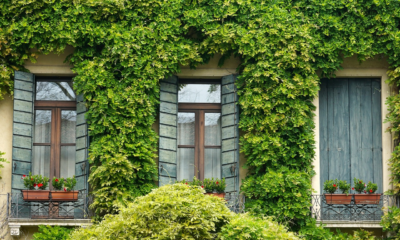 Boost Your Home’s Value with Stylish Window Upgrades