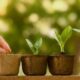 the benefits of plant nurseries webfreen.com