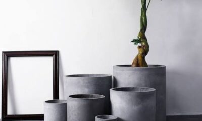 Large Concrete Planter